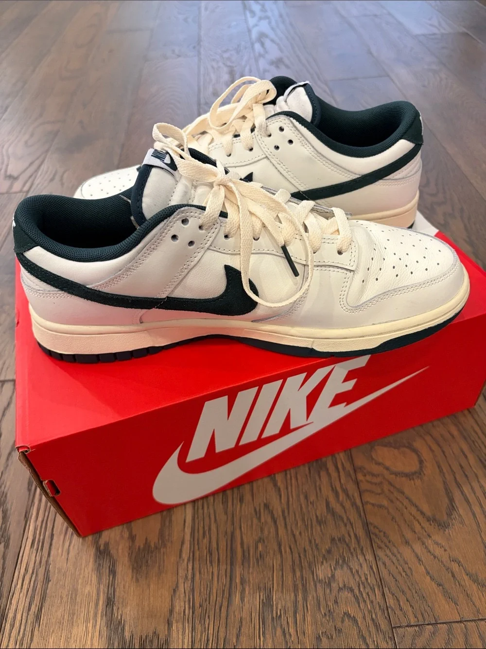 Nike Dunk Low